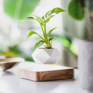 LeviFlora – Luxe Zwevende Plantenpot met Geometrische Elegantie