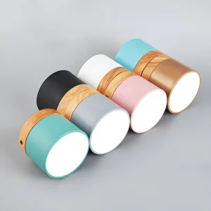 PastelCharm – Minimalistische Zylinderplafondlamp met Warm Lichtaccent
